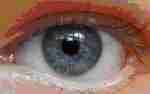 eye-for-surveillance-grid-story