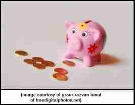 piggy-bank-image-id-10010991