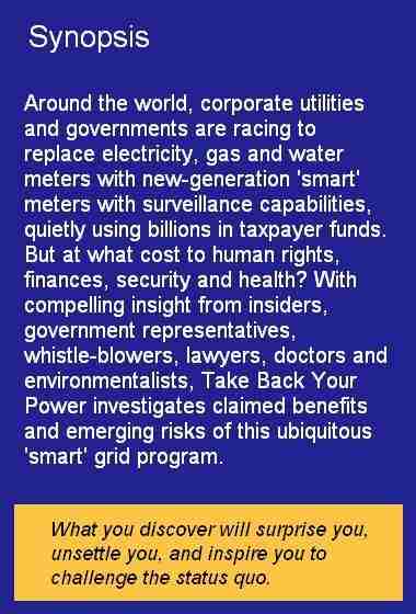 synopsis2